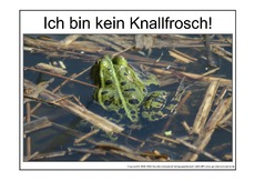 Knallfrosch-2.pdf